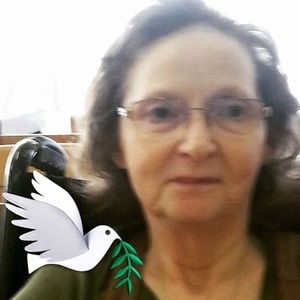 Meet your Posher, Lark